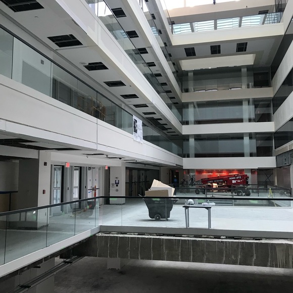 Meet your Posher, TheChairmanMeow 🐈 - Picture 8 of 14